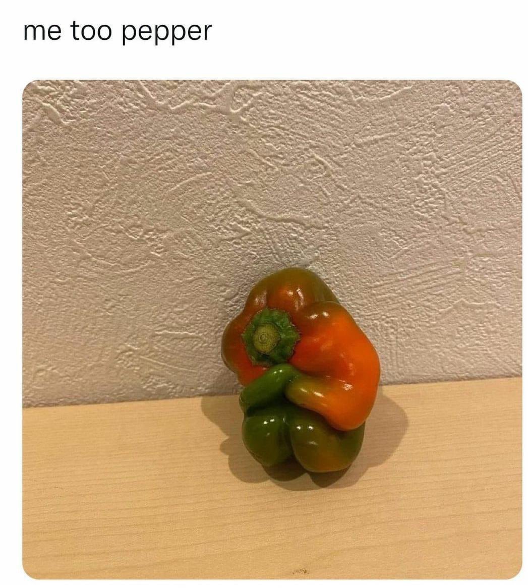 micropharms's tweet photo. Me as a lonely pepper #Food #foodie https://t.co/03JgZiY6hy