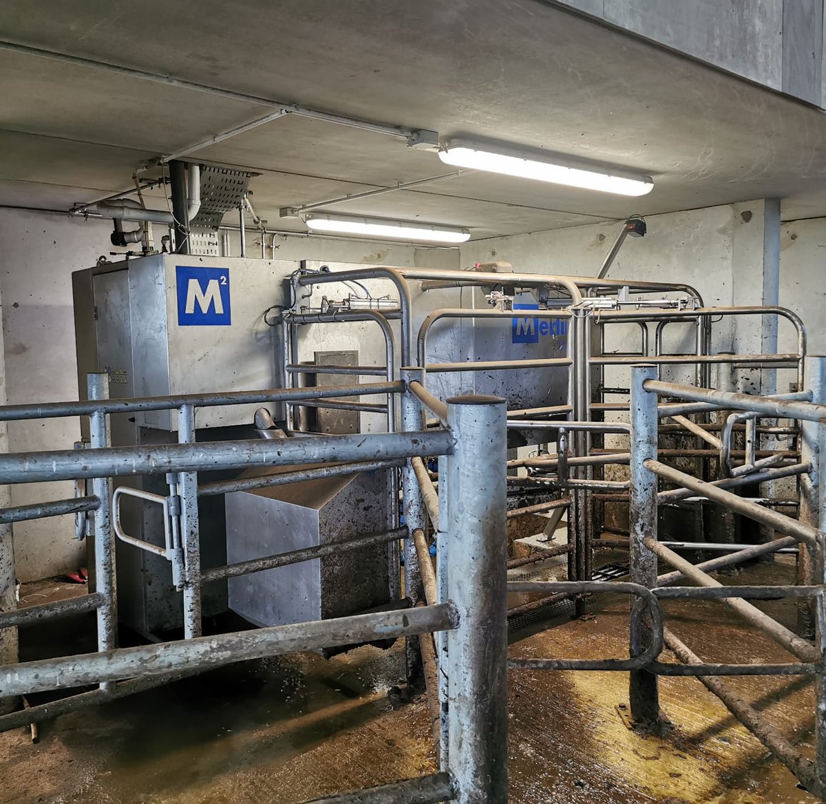 michaeldowney6's tweet photo. On 3 great @FullwoodPackoIE farms today in Cavan. One single robot AB grazing with C indoors milking 18months, one single box #abcgrazing well under construction and one, 2 robot abc grazing with robots being installed this week. very tidy installations by McDermotts Cavan π https://t.co/4TiK4jKo5M