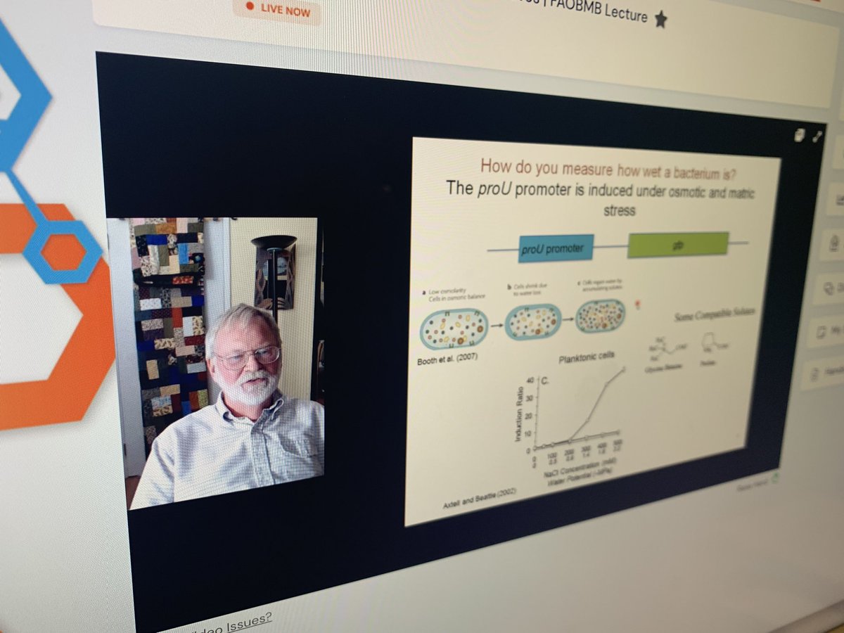 What a way to kick off Day 3 Spotlight on Plants day, with Prof Steven Lindow. #FAOBMB2021