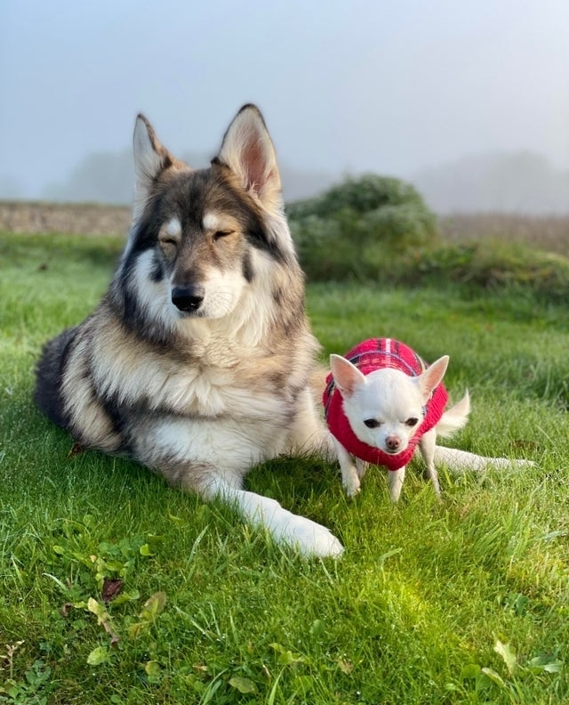 Good friends come in all shapes and sizes!⁠
-⁠
-⁠
-⁠
-⁠

📸 instagram.com/p/CWoOzO_p8Iy/ via tweet.photo