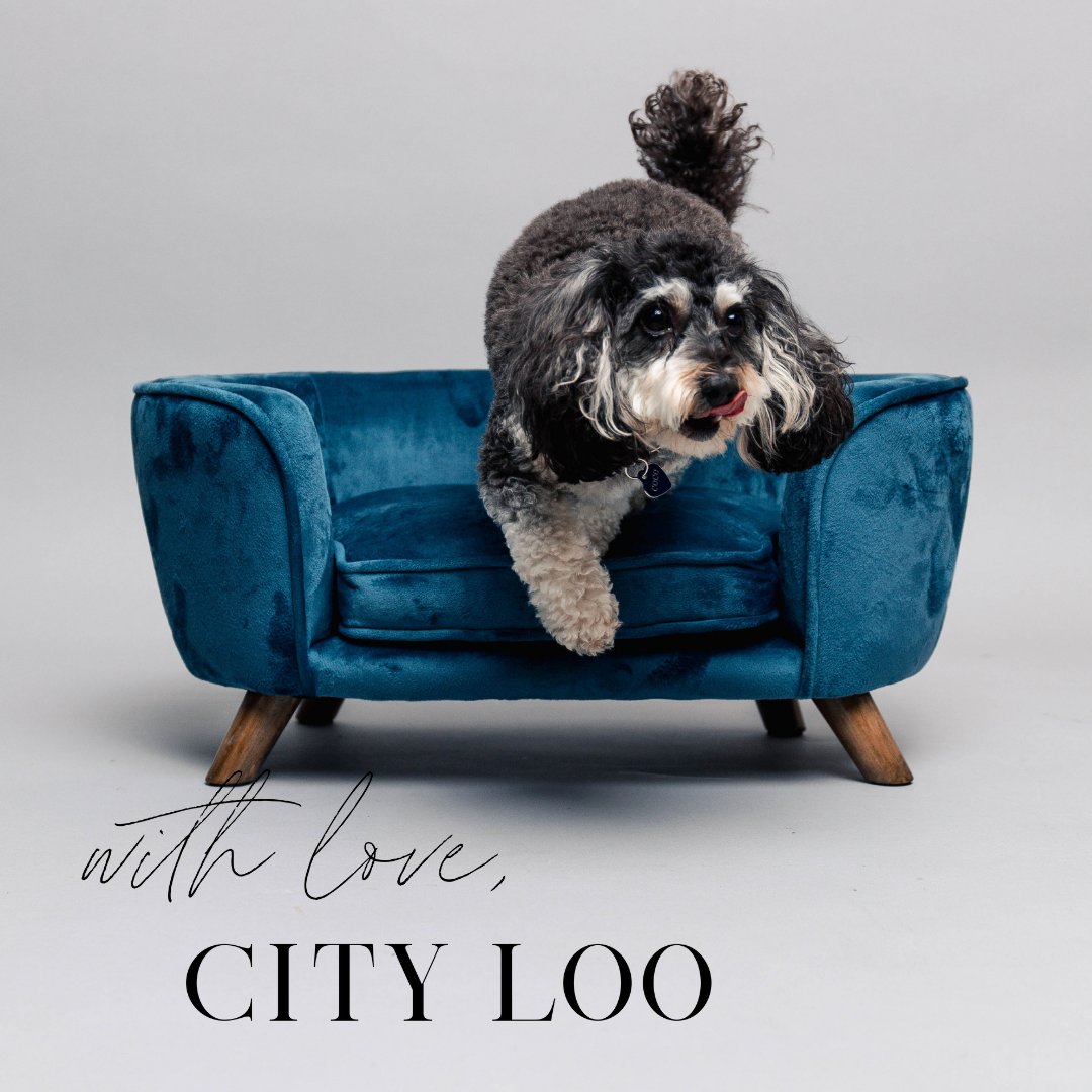 TheCityLoo's tweet photo. #WithLove #CityLoo
Unconditional Love from your dog. Unconditional love for your dog. They deserve the best. 
#CondoLiving at its best🐾😀

Visit https://t.co/cf7TafWdb2 to find out more information! 

#CityLoo #PoshPotty #TheCityLoo https://t.co/0pP3KyXEPS