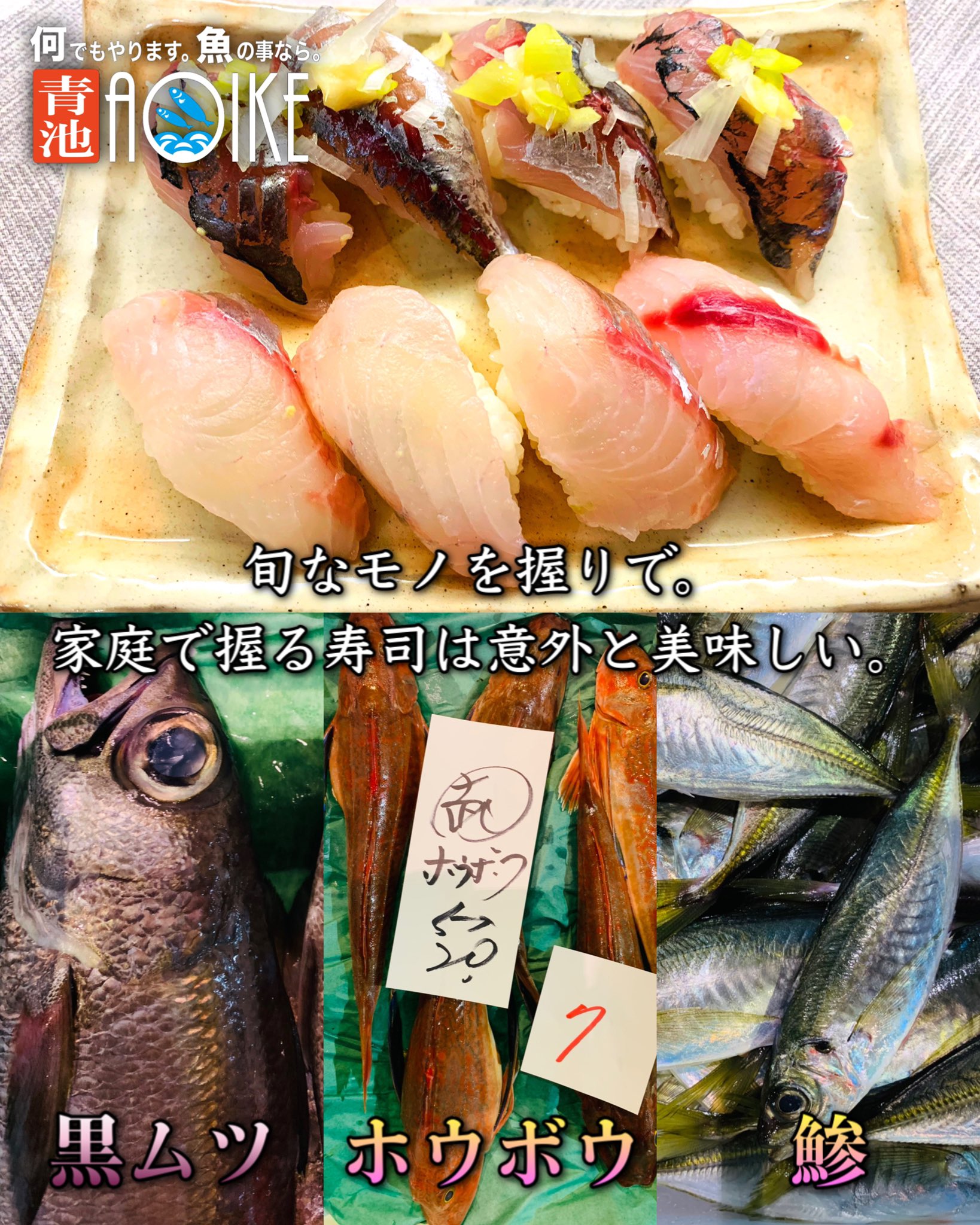 Aoike 青池水産株式会社 家庭で握る寿司は意外と美味い ホウボウ 鯵 黒ムツ 旨みたっぷりのホウボウ お口の中でとろける黒ムツ 脂が程よくのった鯵 旬なものを家でお寿司に 知り合いの銀座のお寿司屋さん曰く 雑に握る方が美味しいんです
