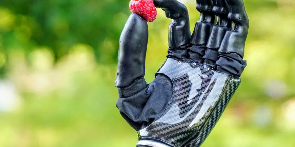 Bionic Hand Gives Amputees Sense of Touch bit.ly/3DHRyx0