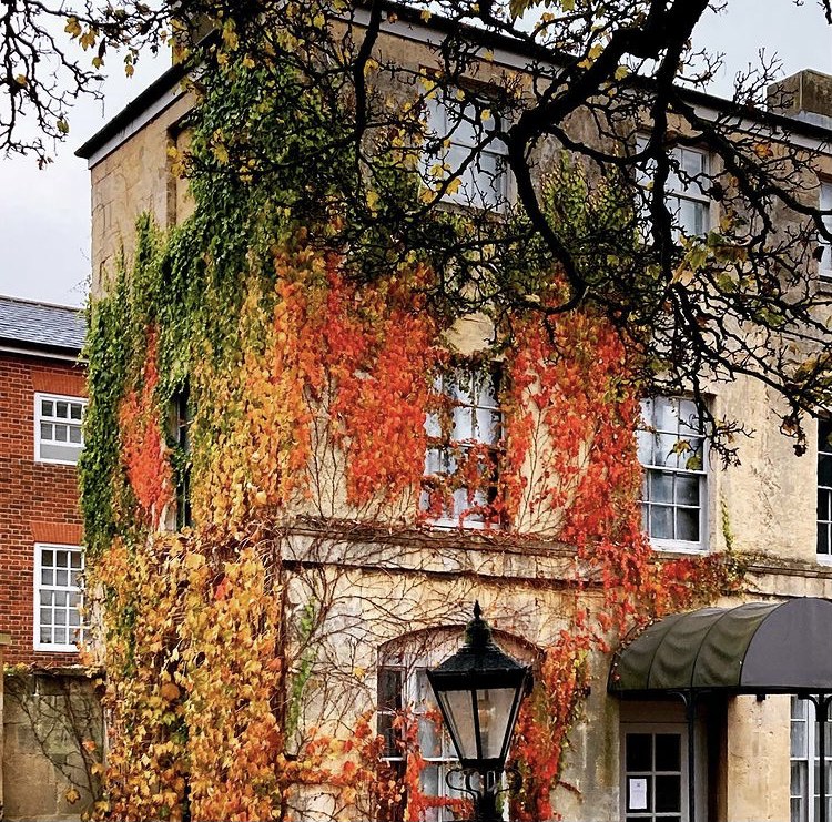 '@CourtyardOxSth' We can't get enough of the beautiful autumn colours around our city! 🍁🍁  

📸@jamesneenan on IG

#oxford #oxforduk #oxfordshire #autumn #autumncolours #autumncolours #autumnmood #oxfordphotography #autumnphotography #autumnvibes …