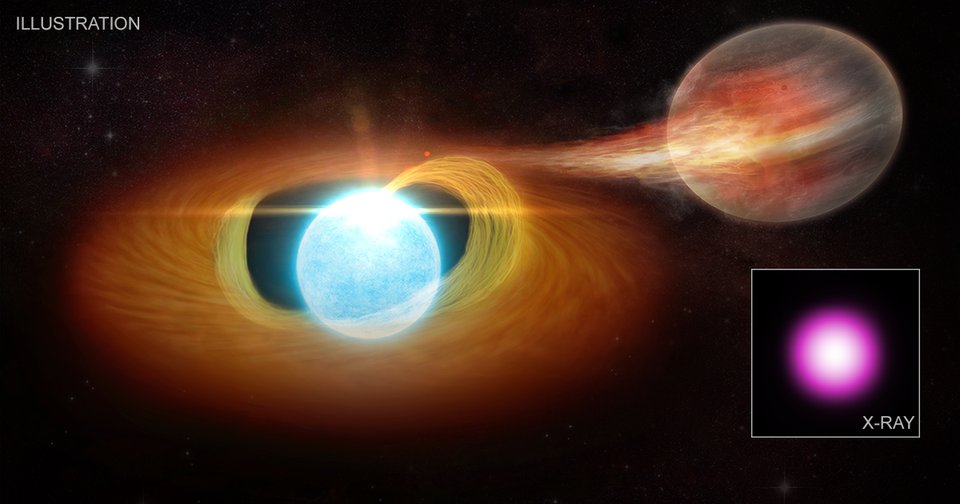 NASAExoplanets's tweet photo. A white dwarf star is blasting a companion, possibly a planet, with waves of heat and radiation while pulling it apart. If the companion is an exoplanet the size of Jupiter, it would survive for only a few hundred million years! https://t.co/7RwmagL9cH https://t.co/dfDoNe4tfj