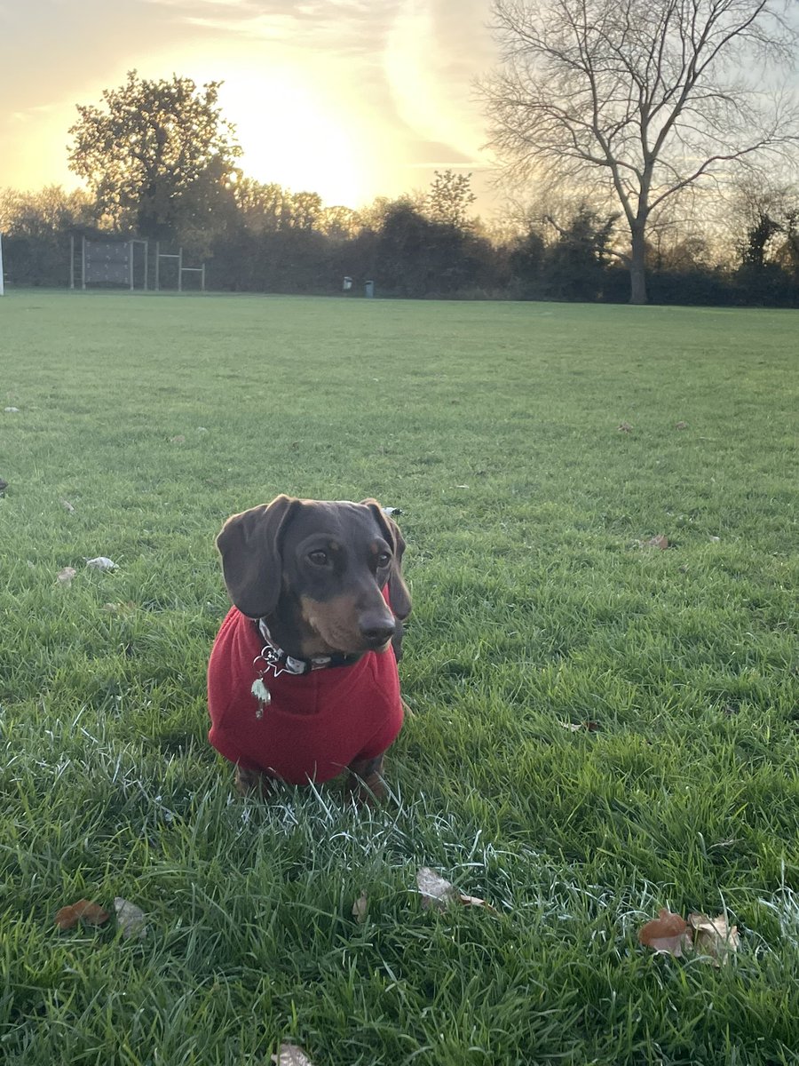 🐚 Shell Zenner 🐚 tweet media