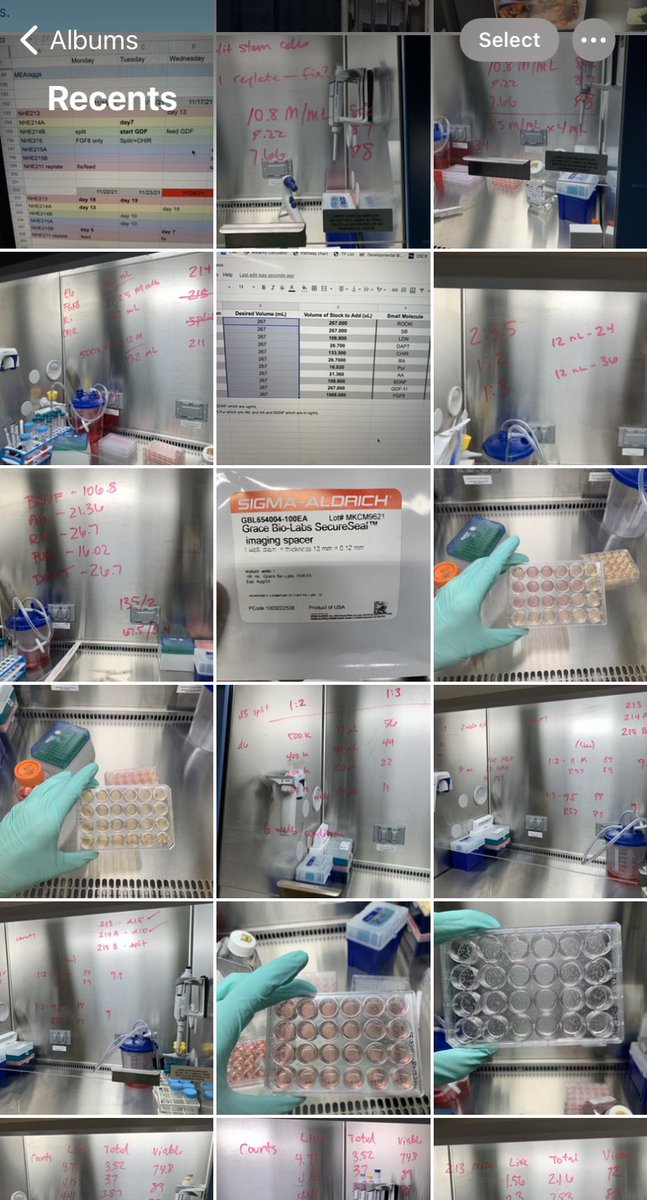 Nick Elder tweet media