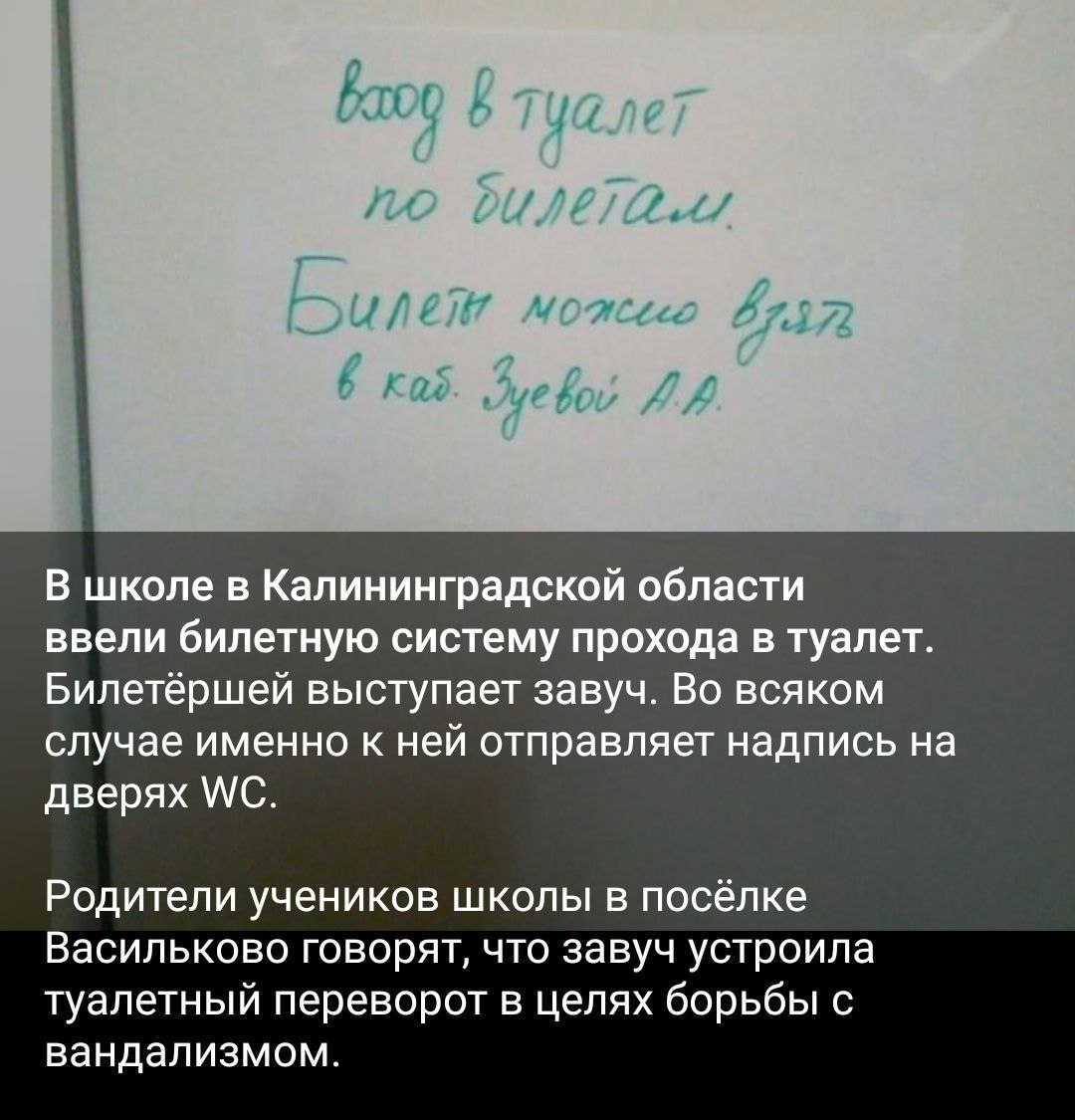 МОЯ ШКОЛА БУКВАЛЬНО