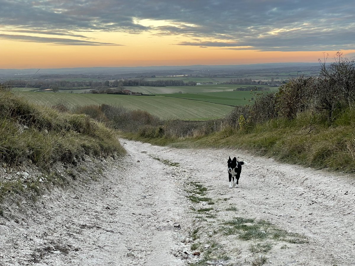 Jonathan Markwell 🇺🇦 tweet media