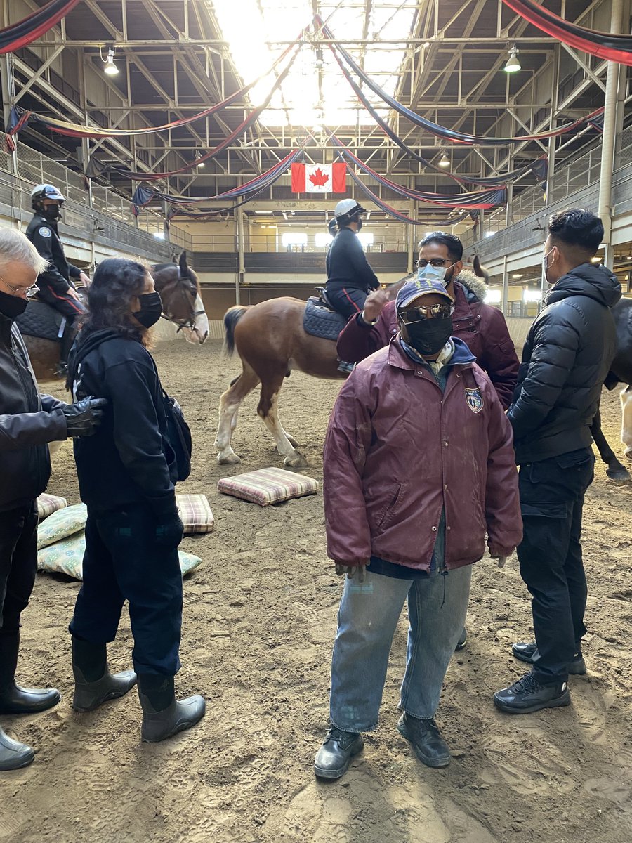 Auxiliaries Helping with the horses at the #tpsmountedunit  #Training @TPS_CPEU  @TPSAux51Div