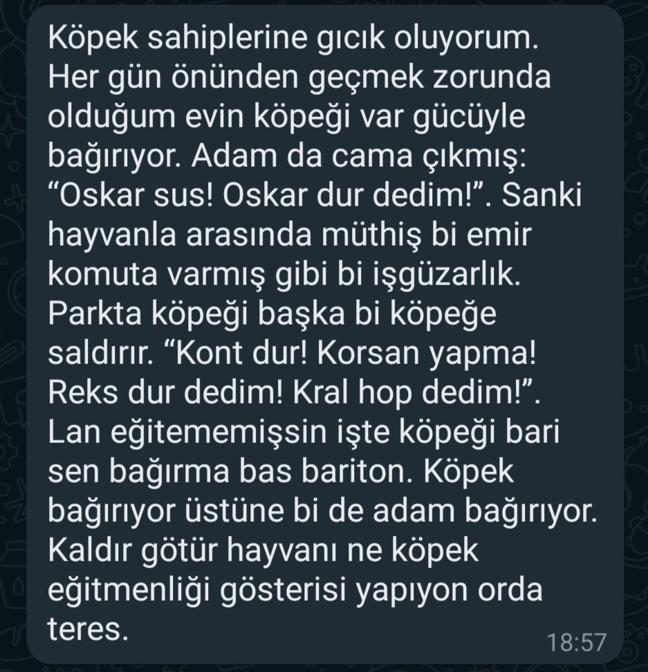Abdul_kadir_bal's tweet photo. #Teres
#Köpek https://t.co/dTuGEWGxhw
