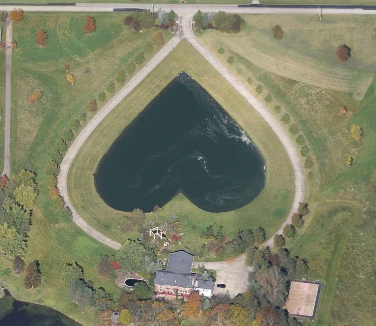 softwhitecloud's tweet image. 