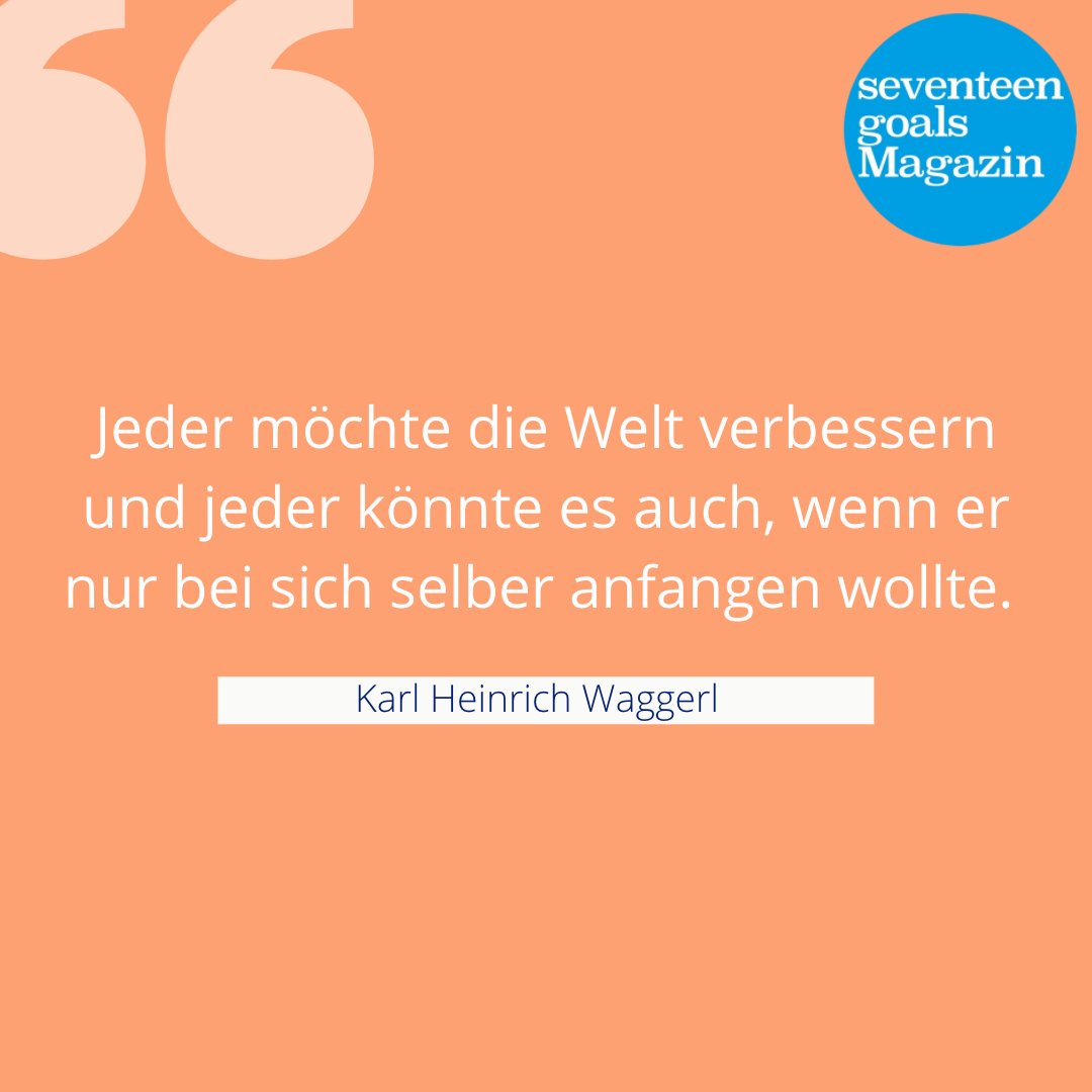 Seventeen Goals Magazin tweet media