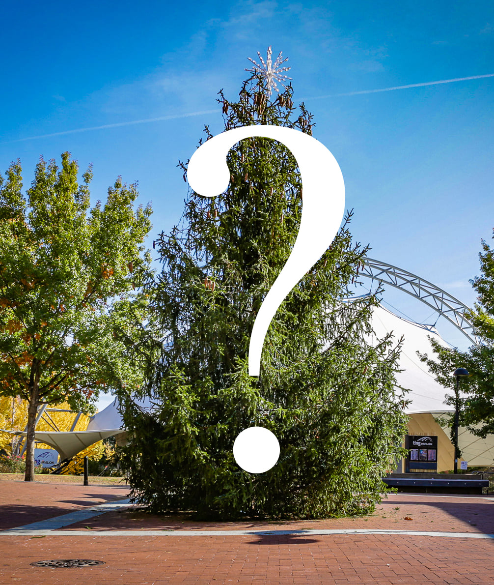 CvilleCityHall's tweet photo. The @cvillegrand 2021 Tree Naming Poll has begun!  Dozens of wonderfully clever names were submitted for our annual tree-naming poll this year, but we can only choose one! You can vote once a day until midnight Sunday, November 28! https://t.co/pEfDbcRsHg https://t.co/w5aumYeHSh