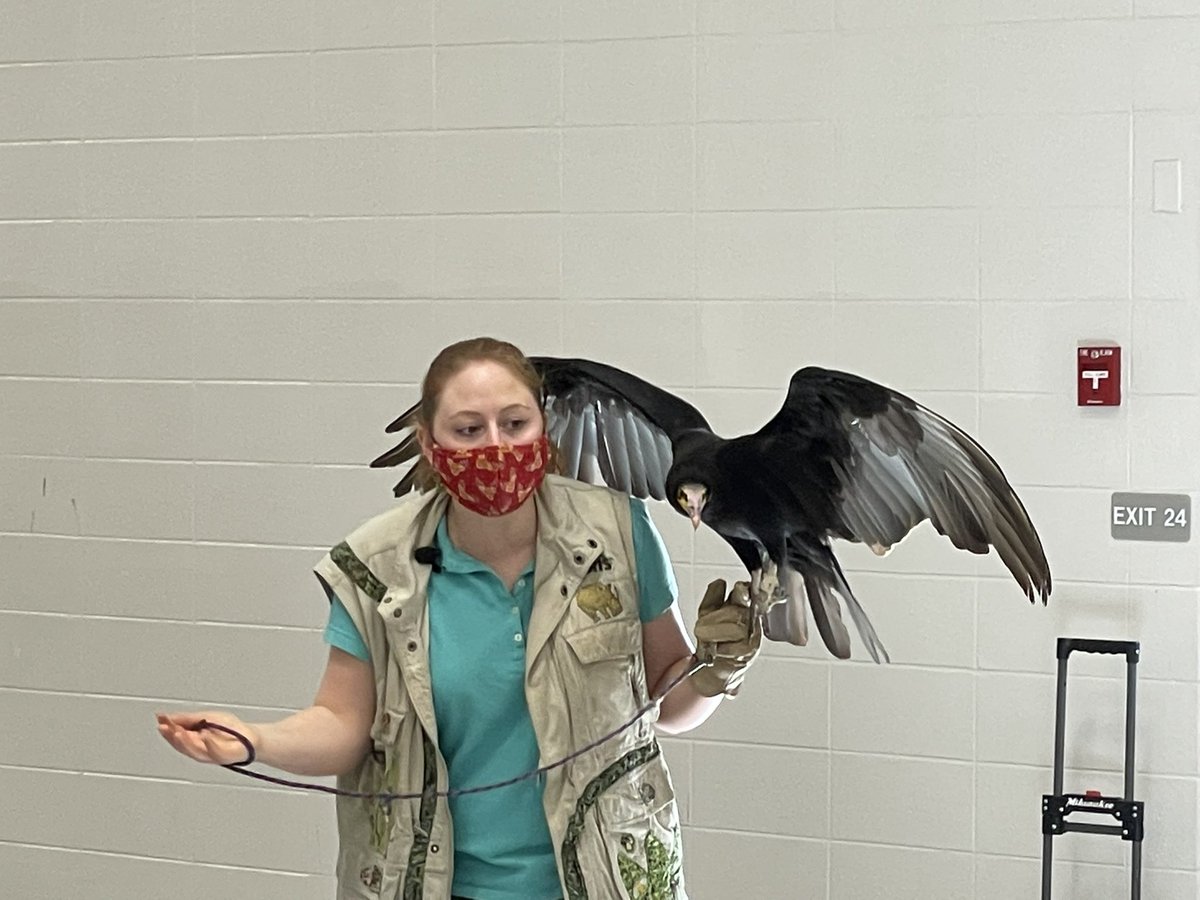 Koewers_Class's tweet photo. How do you wrap up a unit on animals?  We invited Silly Safaris to come teach our sts about animals of the rainforest. @CREhseIN @CRE_PTO @sillysafaris https://t.co/3x4c52iVA2