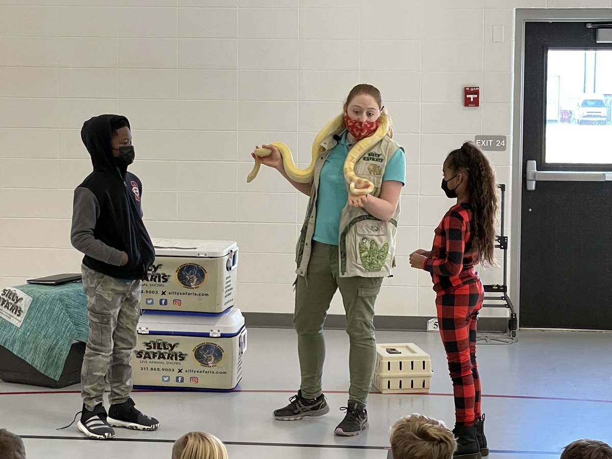 Koewers_Class's tweet photo. How do you wrap up a unit on animals?  We invited Silly Safaris to come teach our sts about animals of the rainforest. @CREhseIN @CRE_PTO @sillysafaris https://t.co/3x4c52iVA2