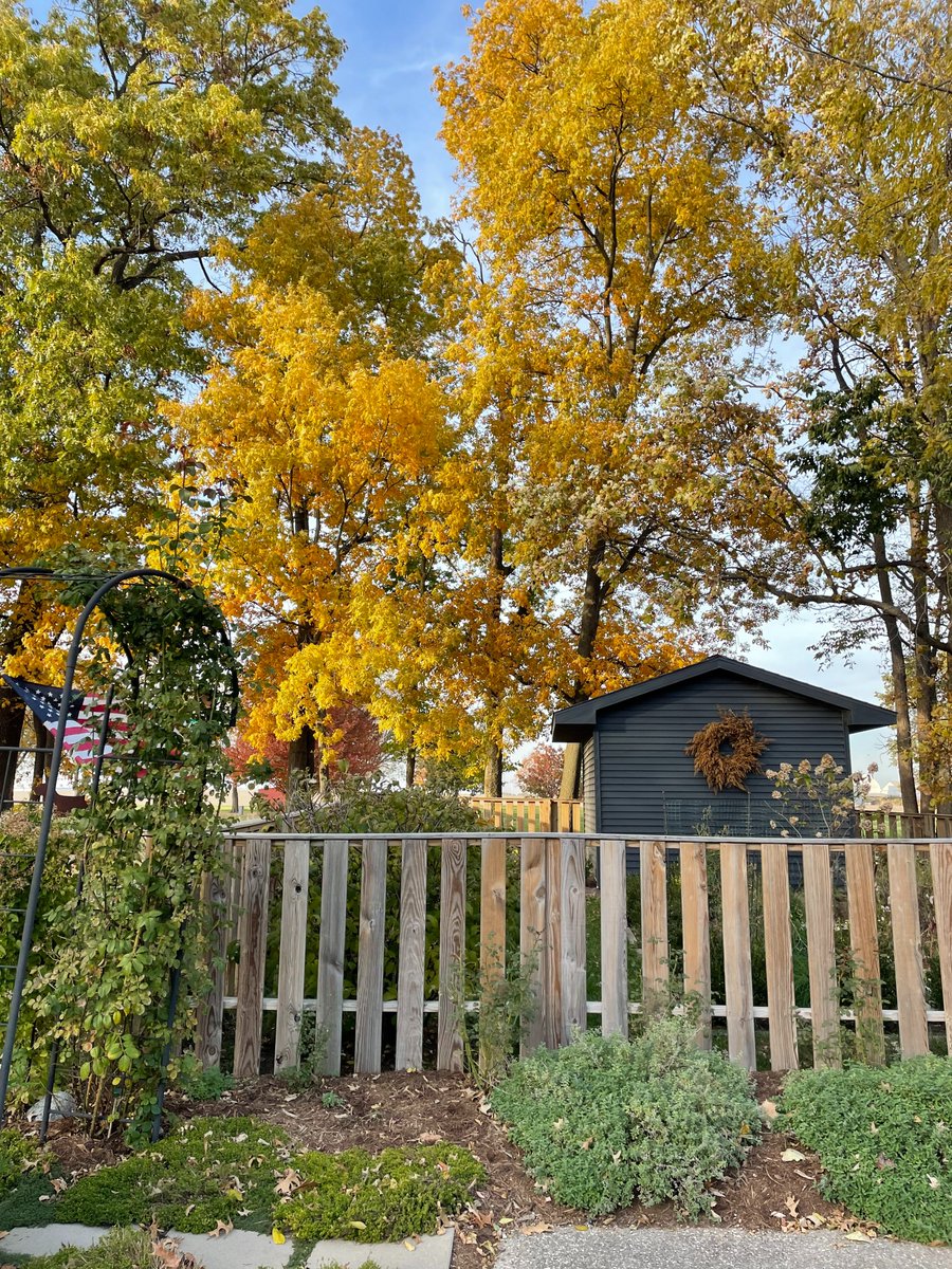 A few of the seasonal touches inside and outside at our little château ❧

beesandbubbles.com/home/autumn-at…