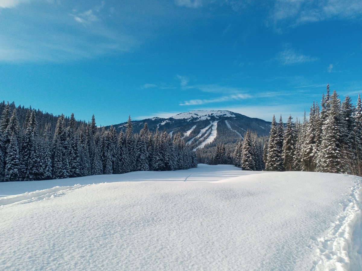 Patricia Sloan tweet media