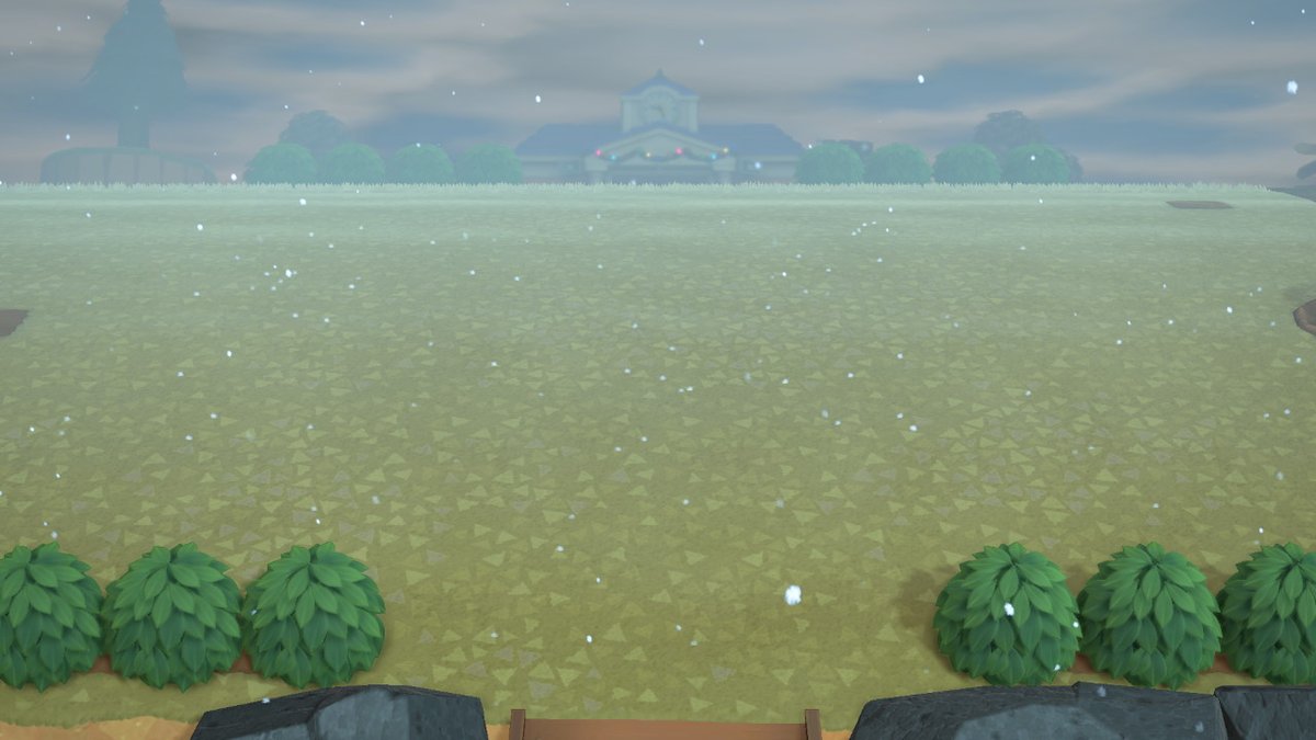 GrilledQuail tweet media