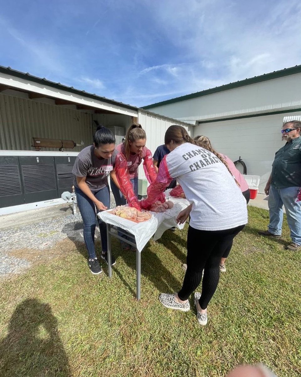UF Dairy Science Club tweet media