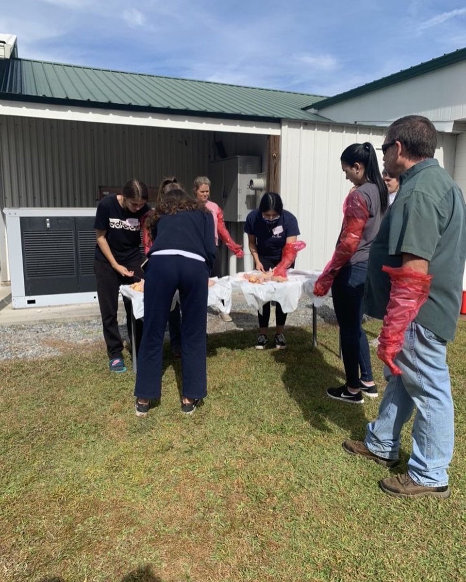 UF Dairy Science Club tweet media