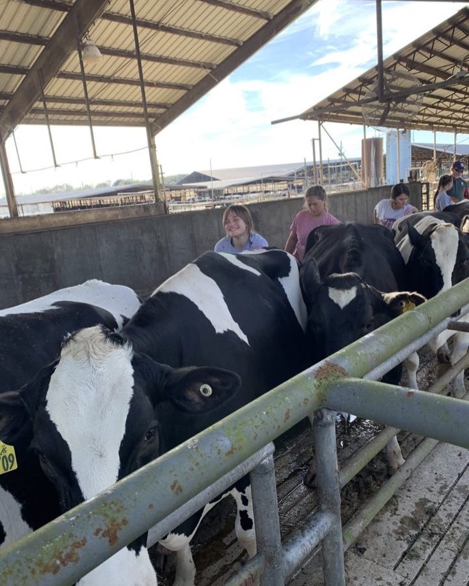 UF Dairy Science Club tweet media