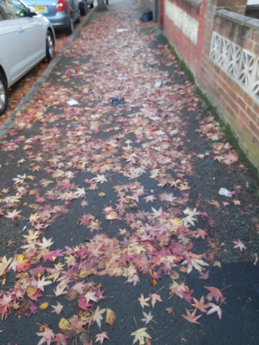 Ealing Independent Network | We care about people (@ealingindys) on Twitter photo <a href="/harniman/">Nigel Harniman</a> Thank you for sharing.That is unacceptable. Can you advise what school this is. Ealing Labour council & <a href="/_petermason/">Peter Mason</a> <a href="/deirdrecostigan/">Deirdre Costigan MP</a> have been incompetent over their handling over clearing up leaves this year and previously.
Ht: <a href="/DvdMrsdn/">David Marsden</a> <a href="/ealingbroadway/">Ealing Broadway Ward in conjunction with GRASS</a> <a href="/P15pm/">❤️citizen Macca</a> <a href="/CASHcampaigners/">Clean Air for Southall and Hayes</a> <a href="/harniman/">Nigel Harniman</a> Thank you for sharing.That is unacceptable. Can you advise what school this is. Ealing Labour council & <a href="/_petermason/">Peter Mason</a> <a href="/deirdrecostigan/">Deirdre Costigan MP</a> have been incompetent over their handling over clearing up leaves this year and previously.
Ht: <a href="/DvdMrsdn/">David Marsden</a> <a href="/ealingbroadway/">Ealing Broadway Ward in conjunction with GRASS</a> <a href="/P15pm/">❤️citizen Macca</a> <a href="/CASHcampaigners/">Clean Air for Southall and Hayes</a>