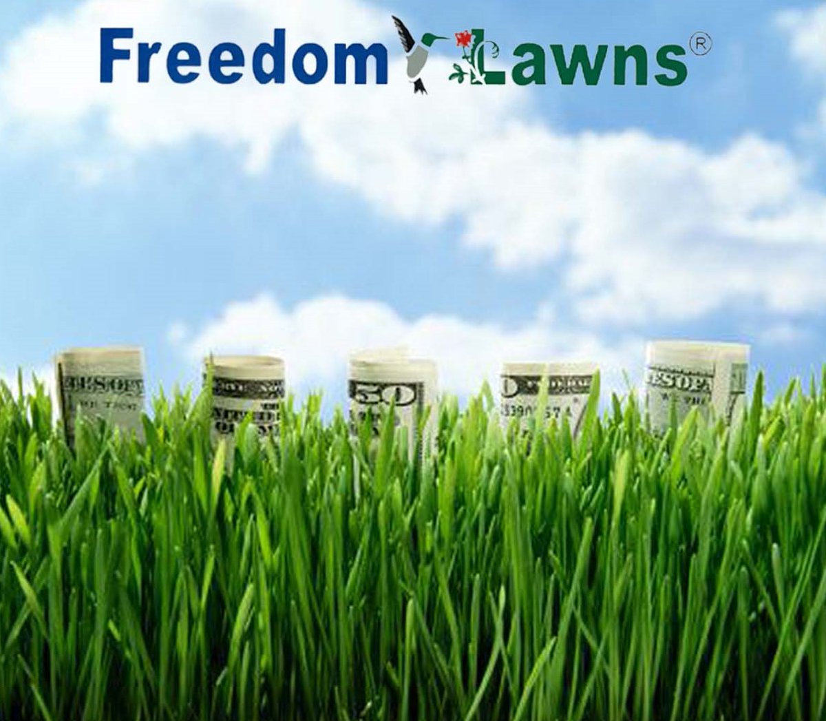 Here are 5 important benefits to opening a franchise:
1. You have support
2. Ongoing training
3. Marketing guidance
4. Financial availability
5. Higher rate of success
Interested in learning more? Call us today!

910-270-1525
freedomlawnsusa.com