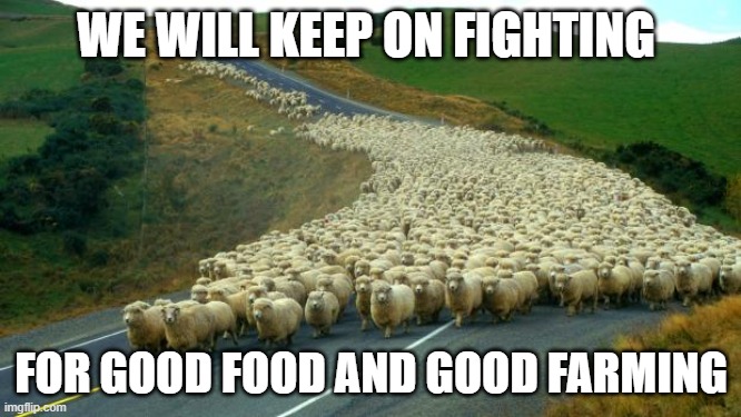 GFGFActionDays's tweet photo. Majority of MEPs ignoring sciene and #EUGreenDeal promises with #finalCAPdeal. #FutureofCAP will ensure business as usual, without urgently needed action for #biodiversity, #climate & #farmers.
Give up? Now less than ever! We will keep on fighting for #GoodFoodGoodFarming🌎🐝👩🌾 https://t.co/QMm1oVibUt