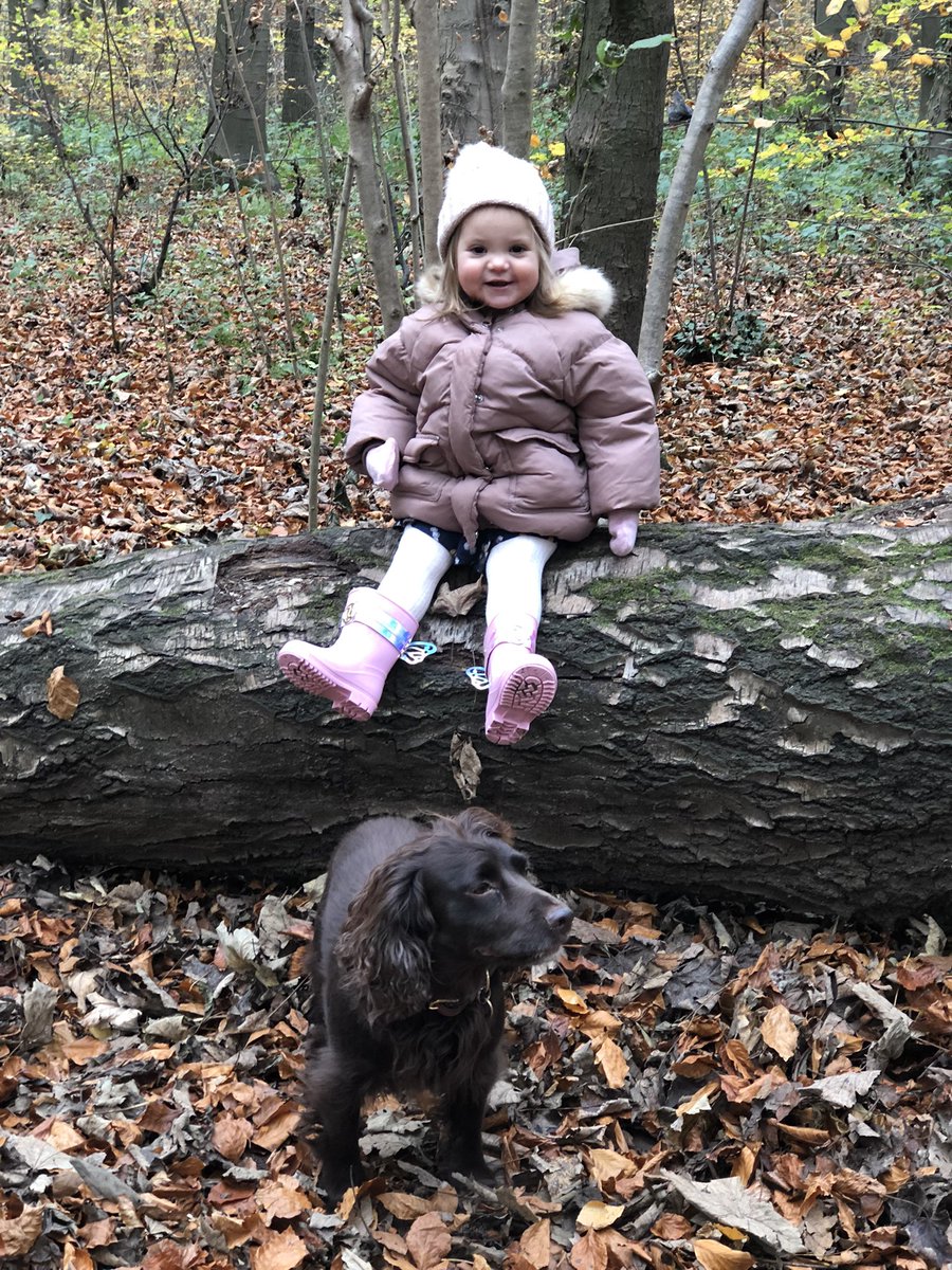 GeorginaW27's tweet photo. Had a lovely day with these two #winterwalks #mumlife #furbaby #downtime https://t.co/tdovlKulXb