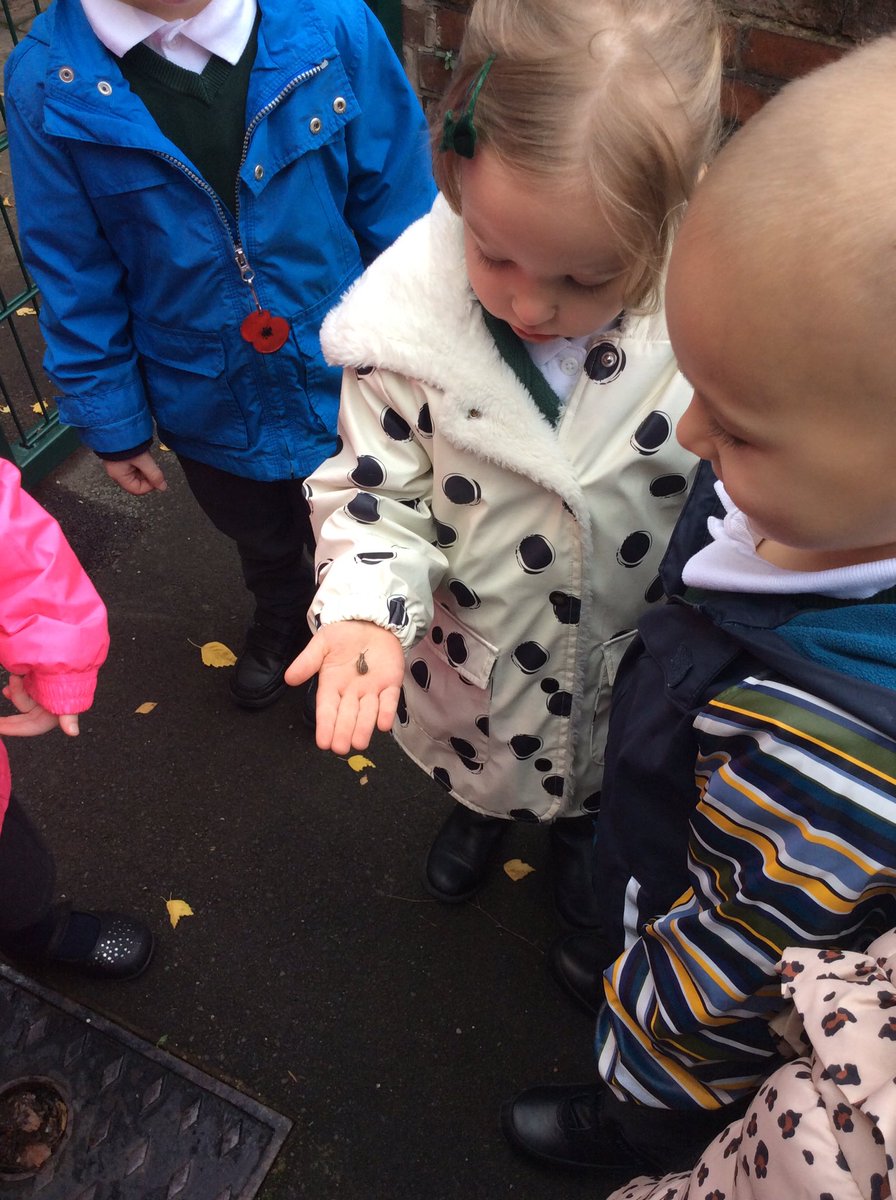MissBates07's tweet photo. We loved last weeks story The Snail and the Whale! 🐌 🐳 
We made whales, did lots of talking about the story and even found a tiny snail outside! @WMoor_academy https://t.co/jHzwzZsEN1