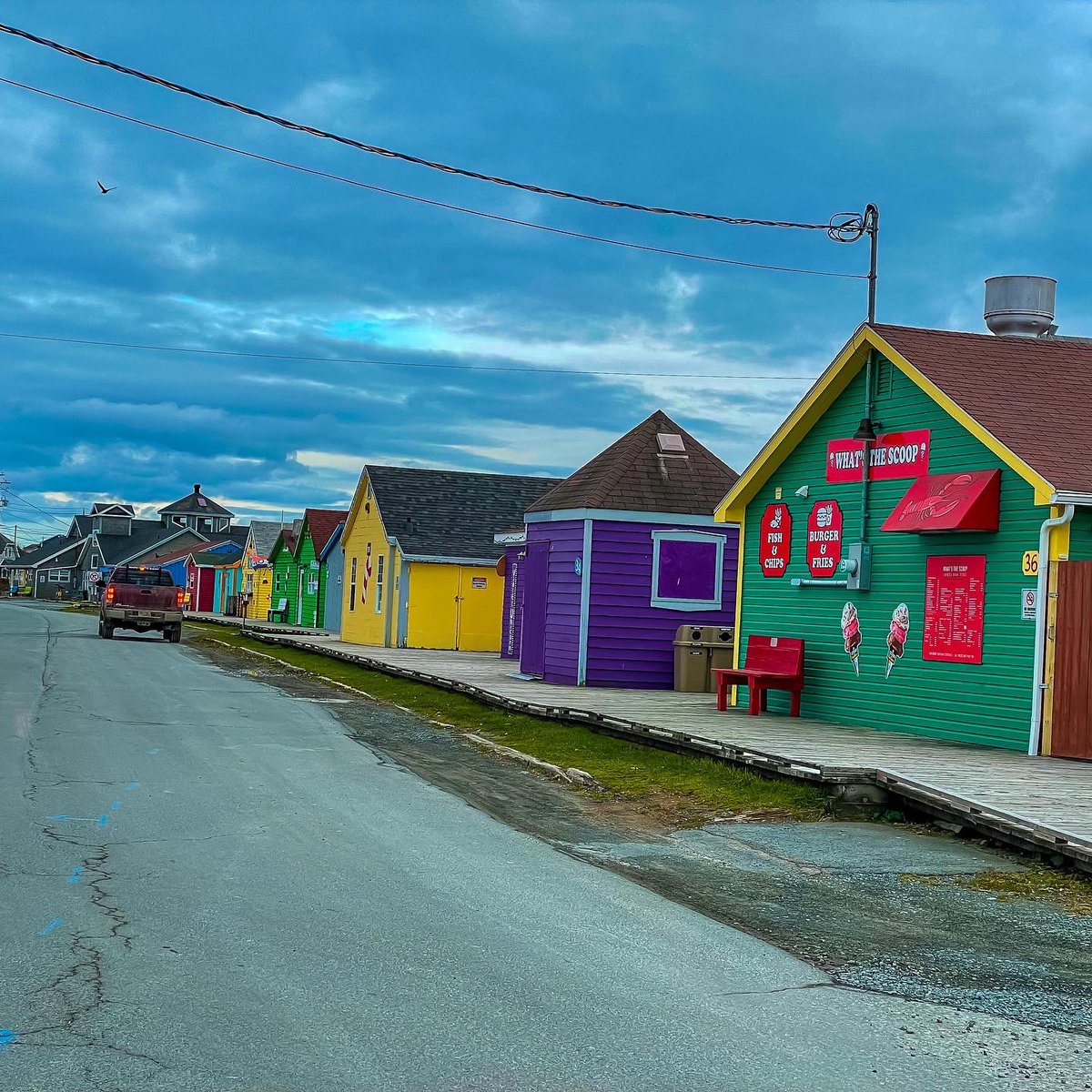 Suzy The Explorer tweet media