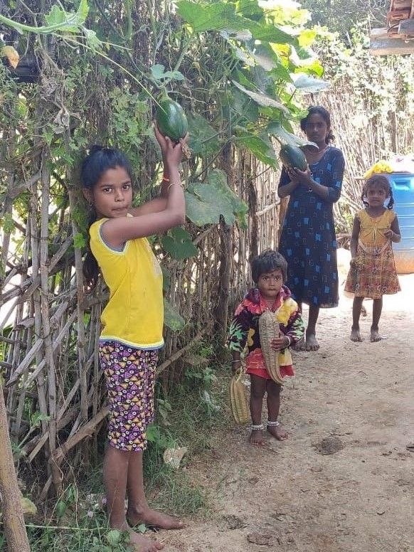 "My sister's education was taken care of by this garden."
Anisha (India) is about so much more than organic farming. It encompasses healthcare, education, nutrition, mental health, ecology and more…
Find out about this amazing project in our latest eNews mailchi.mp/d6069ba0060c/g…