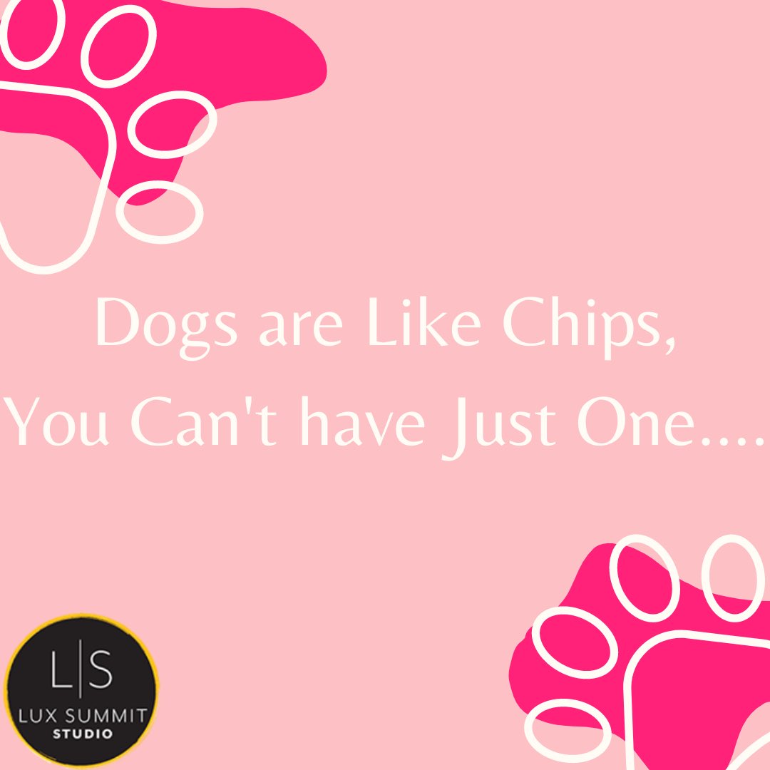 photo_kidd's tweet photo. We love ❤ dogs! 🐕 

And you can never have too many dogs, there's just so much love ❤ to go around! 🐶📷 
 #woof #pawsome #dogsarefamily #authorsofinstagram #photoshoot https://t.co/mWqOeX4cvo