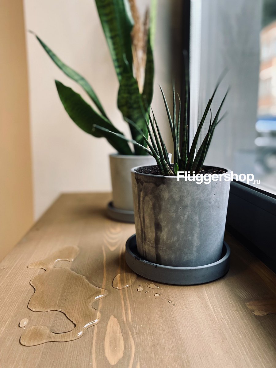 FluggerShop's tweet photo. Flugger Impredure

Цвет U-805

https://t.co/ldQ0up9DLB

#fluggershop #flugger #краскаflugger #краскиflugger #пропиткаподереву #маслодлядерева #woodoilimpredur #краскадлядерева #покраскадерева #покраскадеревянногодома #краскадлядерева #краскаподереву #ремонт #строительство https://t.co/bIzch5l3AJ