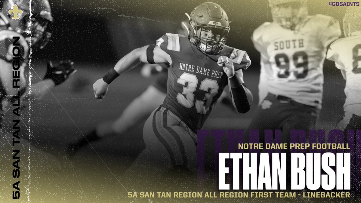 NDP_Athletics's tweet photo. 5A San Tan Region First Team Defense
@TommyRomano2023 
Ben Roberts
@Ethan_Bush33 https://t.co/oSStDcKz7T