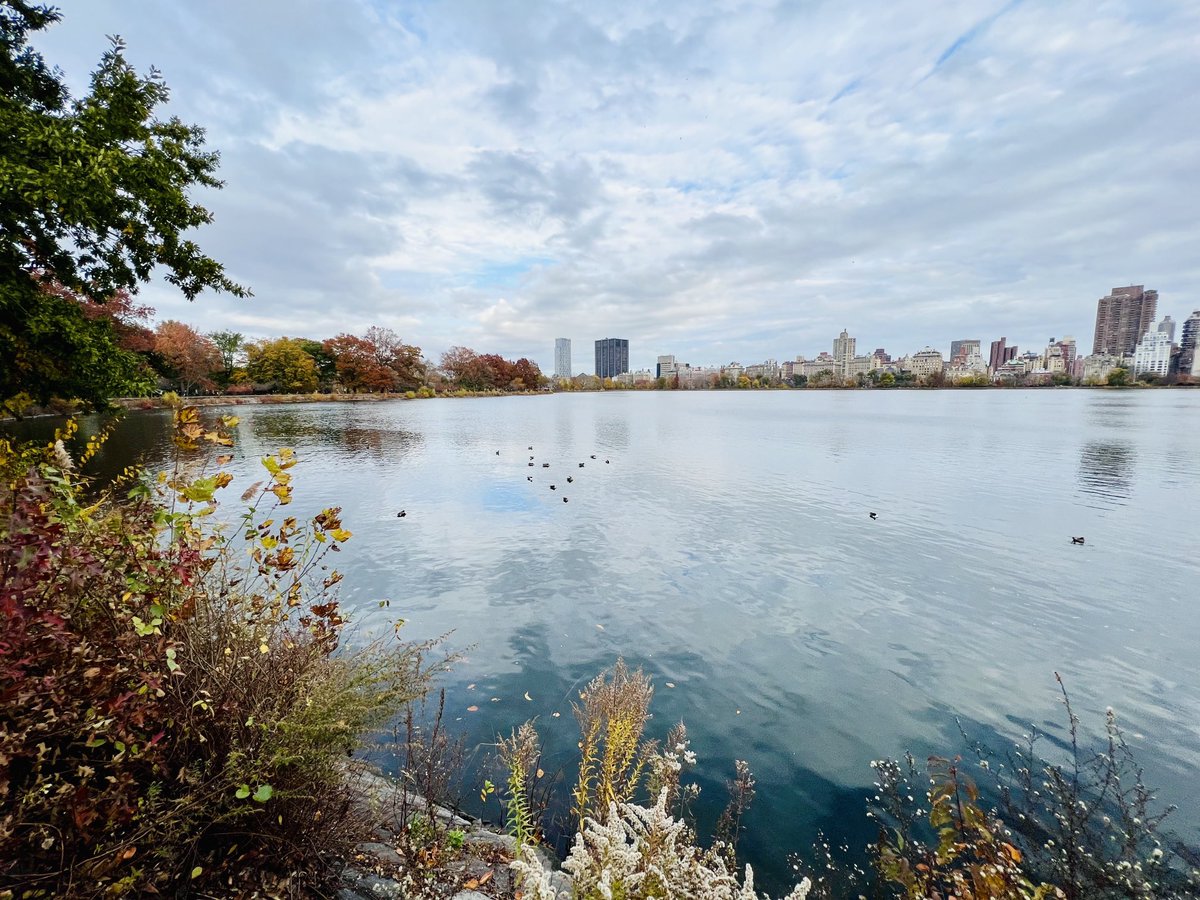 maiderings's tweet photo. Fall vibes - Jacqueline Kennedy Onassis Reservoir - 11.21.21 #nyc ���@CentralParkNYC⁩ https://t.co/SIOtgWgRQ1