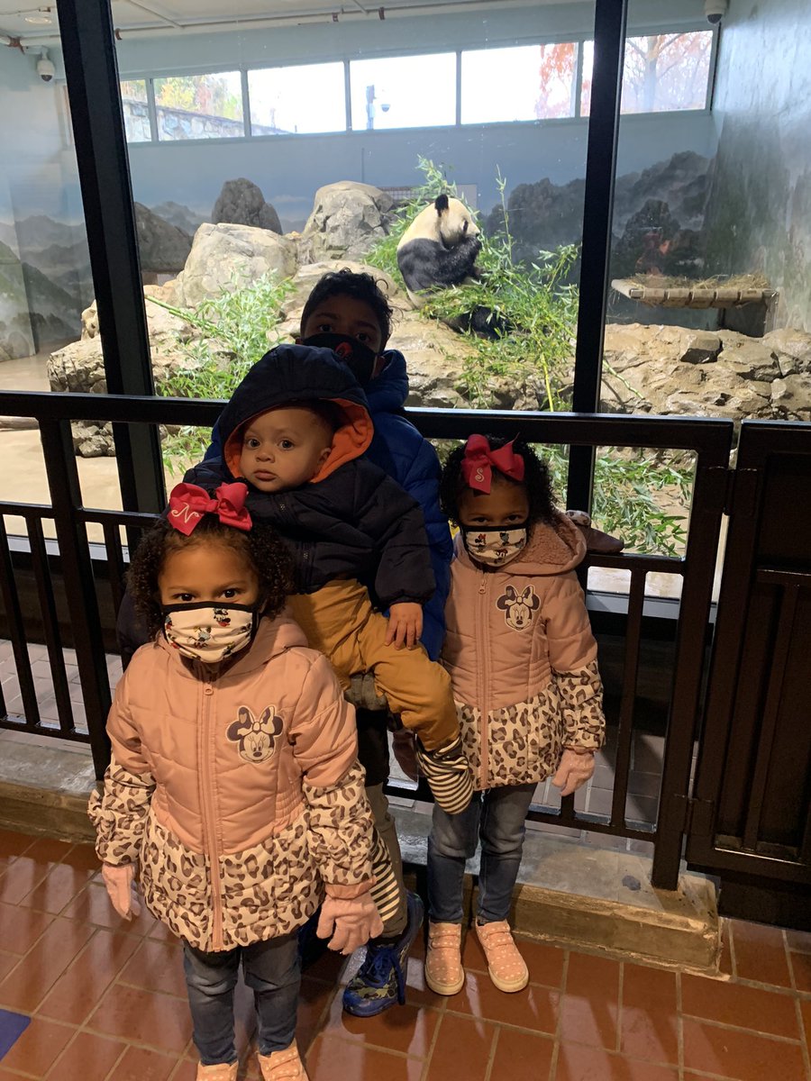 MrsDNAiels's tweet photo. A great day @NationalZoo https://t.co/eccgrUeGLk