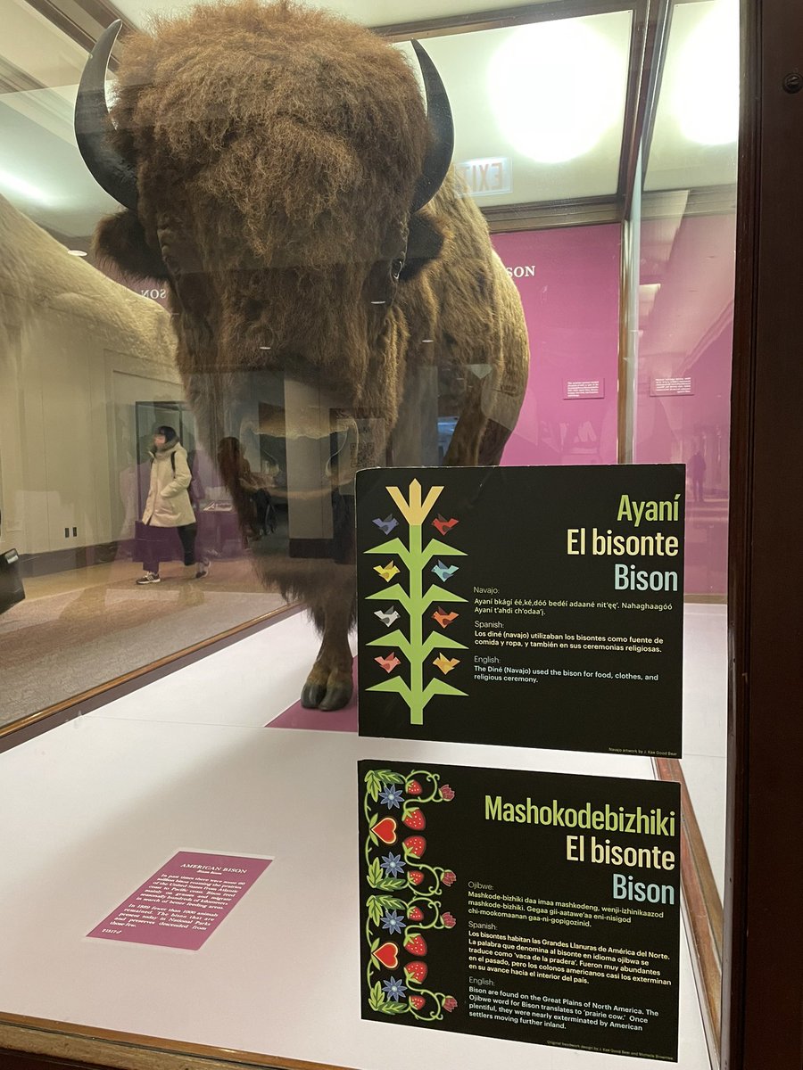 Rezunit23's tweet photo. Met up w Camille for lunch. One of her classes is at the @FieldMuseum. What a great fall day in Chicago! #saic #NativeAmericanHeritageMonth https://t.co/TWtbkIe63j