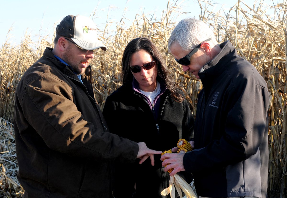AgriGold's tweet photo. An AgriGold team member isnโt just anyone โ itโs someone who has excellence ingrained in them. In all areas of the business, our people are dedicated to growing with you. Thatโs why on this #WeekOfThankfulness, weโre thankful for our outstanding employees. #LetsTalkSeed https://t.co/vfUrEWexFM