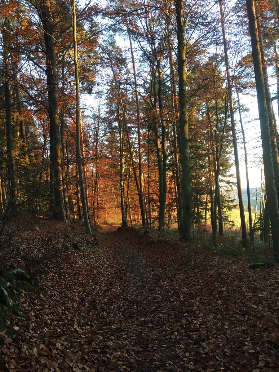 shykatharin's tweet photo. Endlich mal keine Nebelsuppe beim Luft schnappen am Nachmittag  #Herbstspaziergang   😅 https://t.co/SN2BcOjWsm