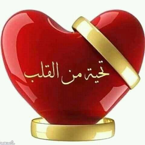 MranyAdl's tweet photo. @AqRaisa https://t.co/Jhm1cysTmx