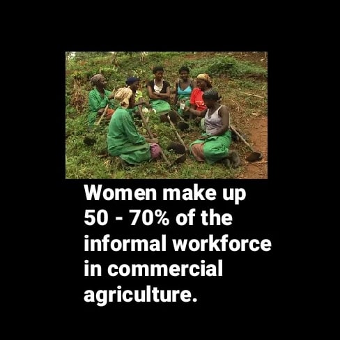 NotInMyNameINT's tweet photo. #NOTINMYNAME calls for the inclusion of Informal Traders within the South African economy.
Women, particularly, have been ostracized within this sector. https://t.co/uCcyxMPcQD