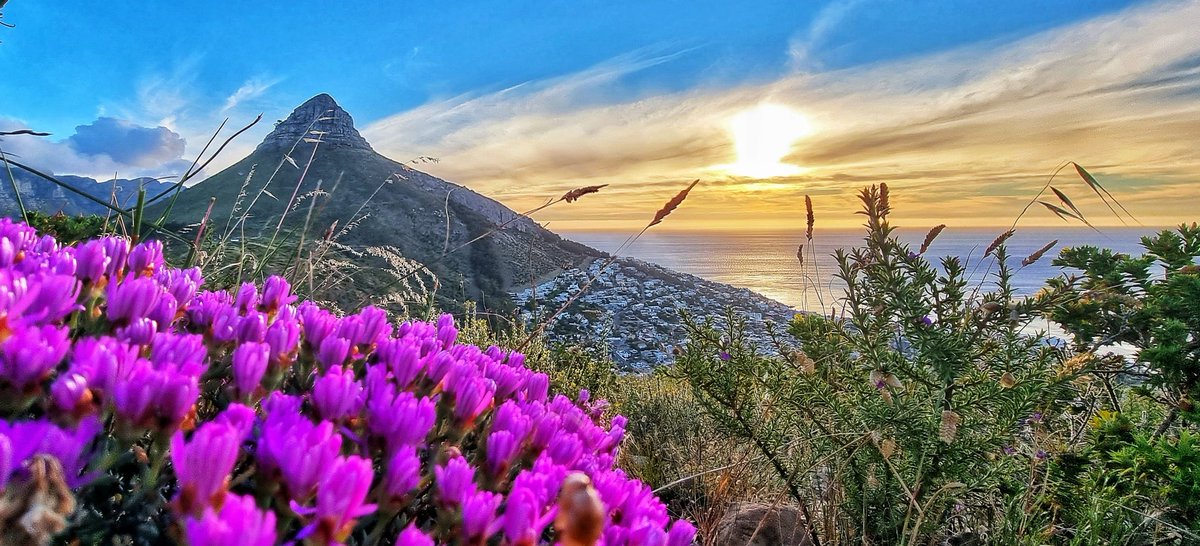 deon_bing's tweet photo. Sunset in #CapeTown at 19:35. SE still howling as people trail run along the ridge.
@lovecapetown @livingitupct @Wesgro @southafricauk @SouthAfrica @DiBrown5 #Capetownisawesome @PoleYard https://t.co/OcXvZibNo8 #sunset https://t.co/SSBoQjNryg