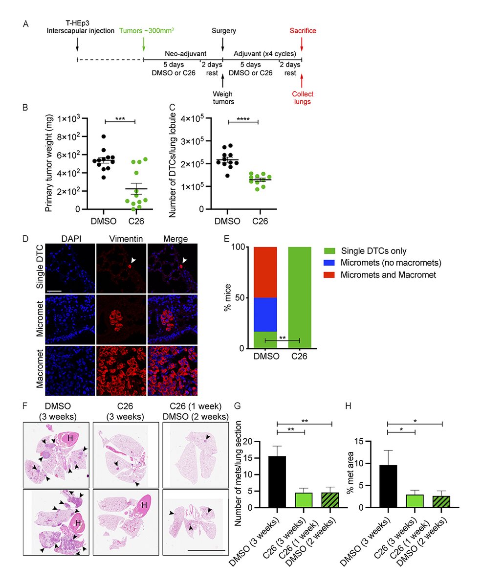 Journal of Experimental Medicine tweet media