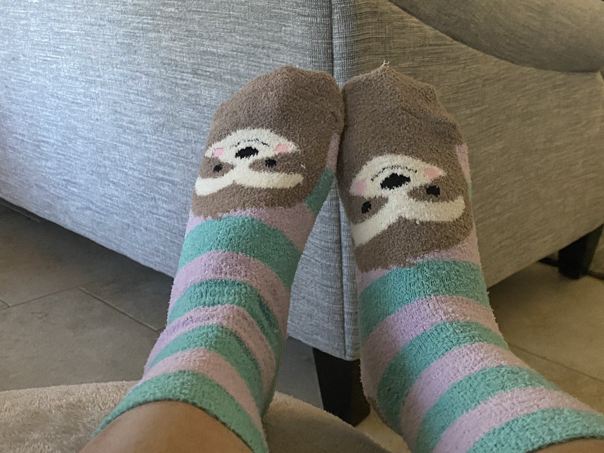 My view this chilly morning. A surprise pair of sloths are helping me gain strength today. Slow and steady. 🦥❤️#Soblessed #Gettingstronger #Lovedsomuch #Thankful