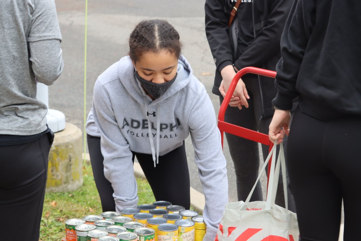 Adelphi University Athletics tweet media