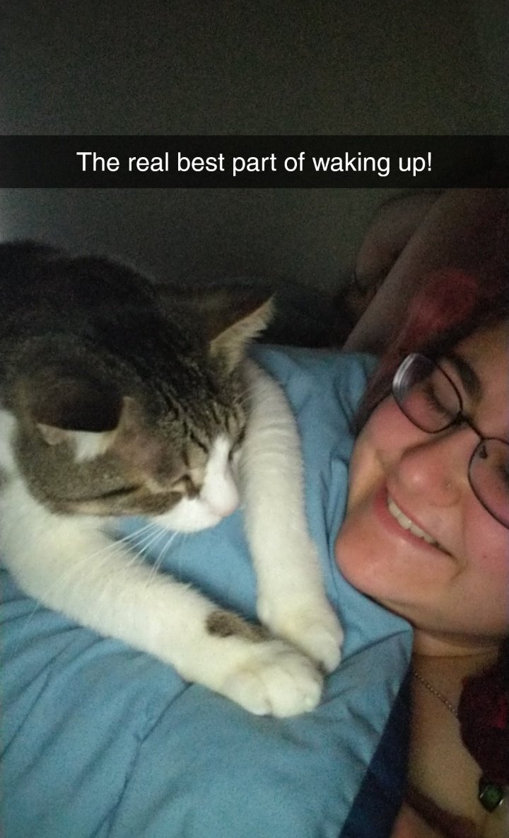 RuthiGreutman's tweet photo. @ellle_em This is Alfred. Fun Fact: he hates when mom and dad go on vacation. He stages sit-ons rather than sit-ins to let us know we should never leave him again. https://t.co/4D3wxhusJC