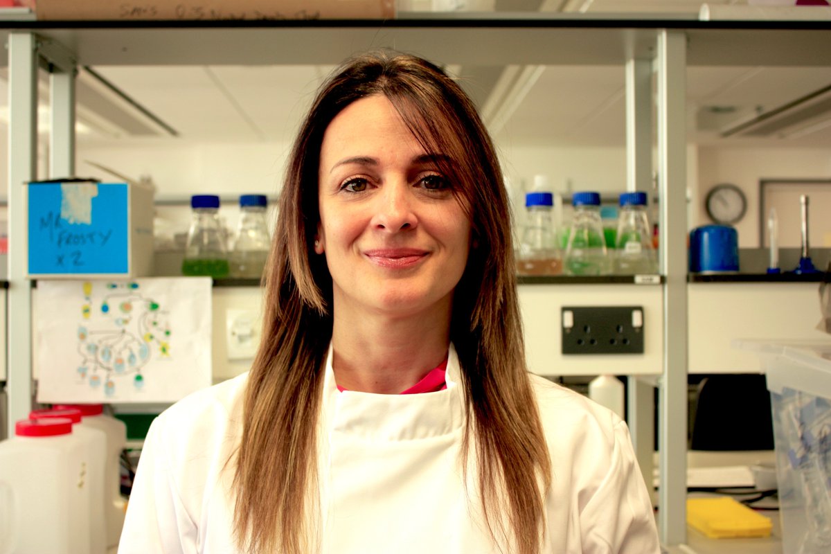 UniExeCornwall's tweet photo. Huge congratulations to @UniofExeterESI lab manager, Daniela Farina, who has been named a “Sustainability Champion” in the 2021 @greengowns Awards UK &amp; Ireland! 👏👏👏

https://t.co/ojWZQuBDRE https://t.co/QDug595zxV
