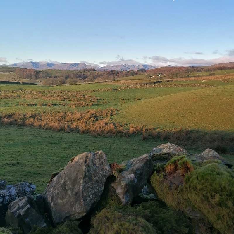 fixthefells's tweet photo. What an amazing day in the #lakedistrict, we have had loads of @georgefisheruk #Tearound Donations! Looks like it was the perfect day for it! All donations go to @fixthefells to help keep the upland paths from erosion! Thank you Tearounders!!
#perfectday
https://t.co/6L4DpiJU6n https://t.co/kJnsge3aD9